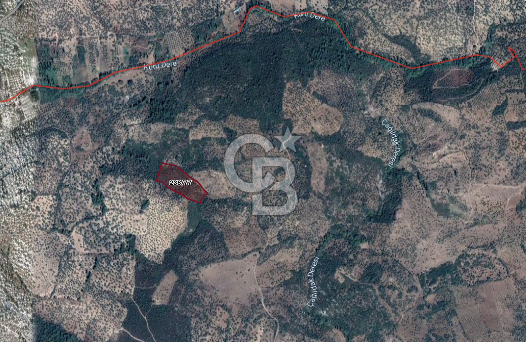 Çanakkale Kemallı da Satılık Zeytinlik Arsa