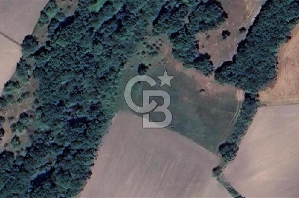 TEKİRDAĞ SARAY'DA TEK TAPU YATIRIMLIK TARLA