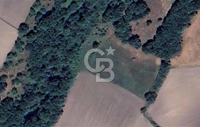 TEKİRDAĞ SARAY'DA TEK TAPU YATIRIMLIK TARLA