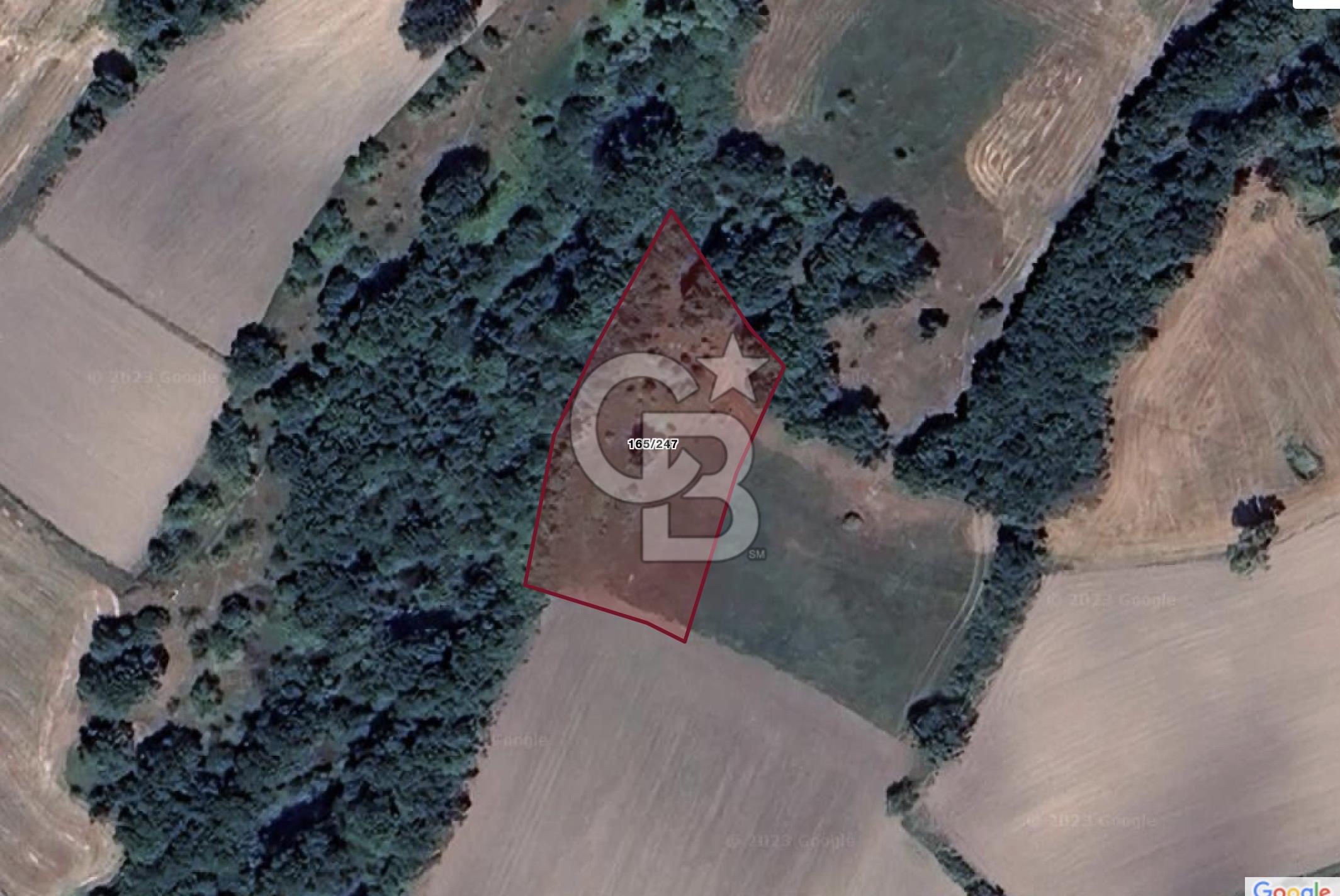 TEKİRDAĞ SARAY'DA TEK TAPU YATIRIMLIK TARLA