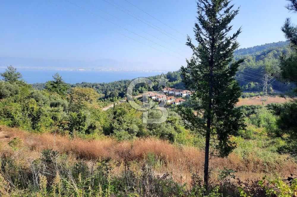Ulaşlı'da Efsane Deniz Manzaralı Satılık Villa İmarlı Arsa