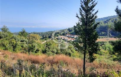 Ulaşlı'da Efsane Deniz Manzaralı Satılık Villa İmarlı Arsa