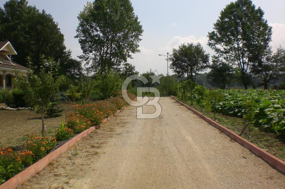 BOLU MERKEZ/KARACASU DA SATILIK 6+1 VİLLA