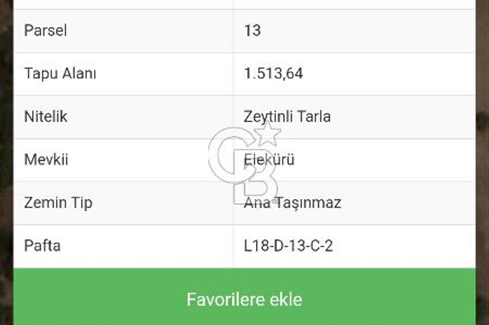 Acil Satılık Menderes-Gümüldür Yolu Üzerinde Zeytinli Tarla