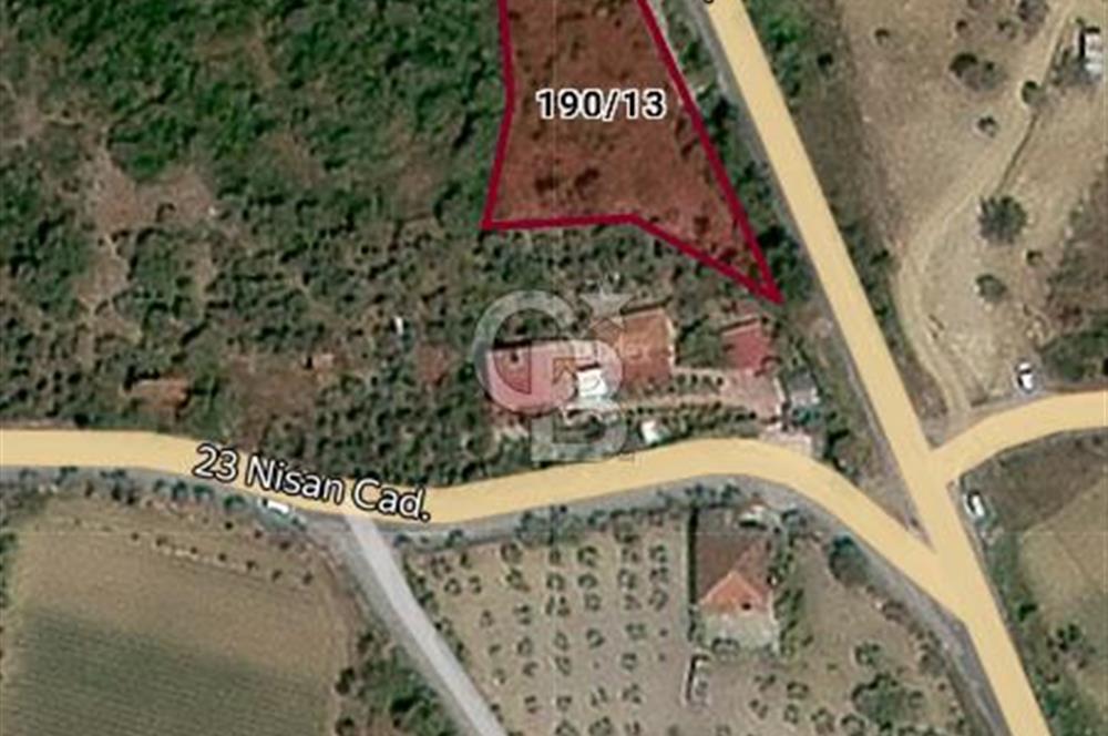 Acil Satılık Menderes-Gümüldür Yolu Üzerinde Zeytinli Tarla