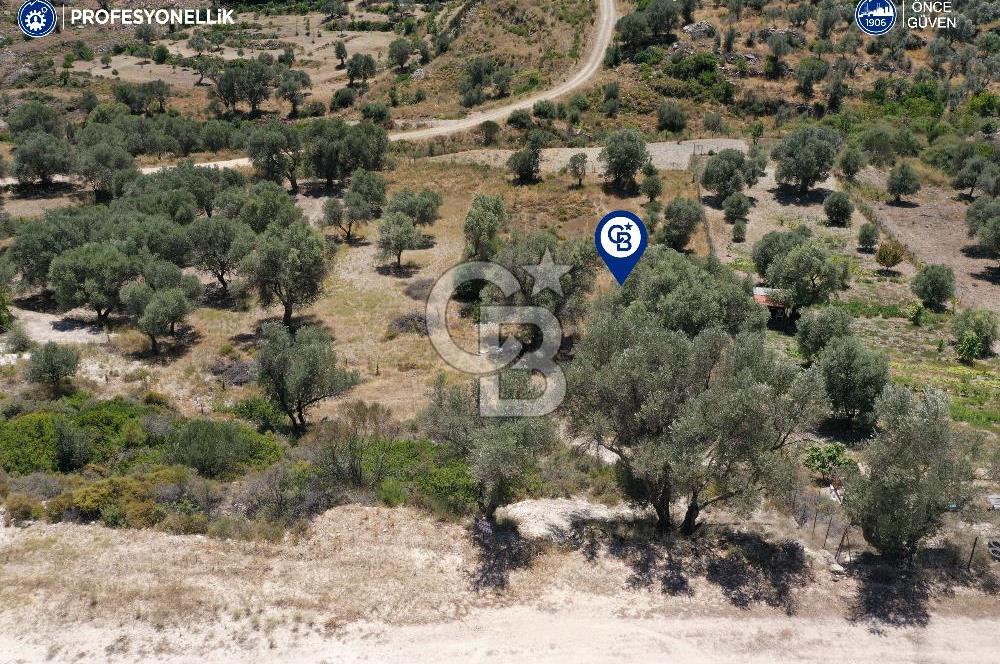 Karaburun Eğlenhoca'da 1.050 m² Yatırımlık Arazi