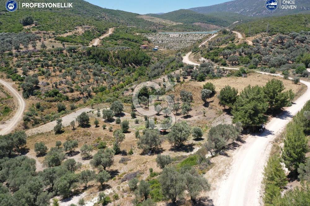 Karaburun Eğlenhoca'da 1.050 m² Yatırımlık Arazi