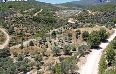 Karaburun Eğlenhoca'da 1.050 m² Yatırımlık Arazi