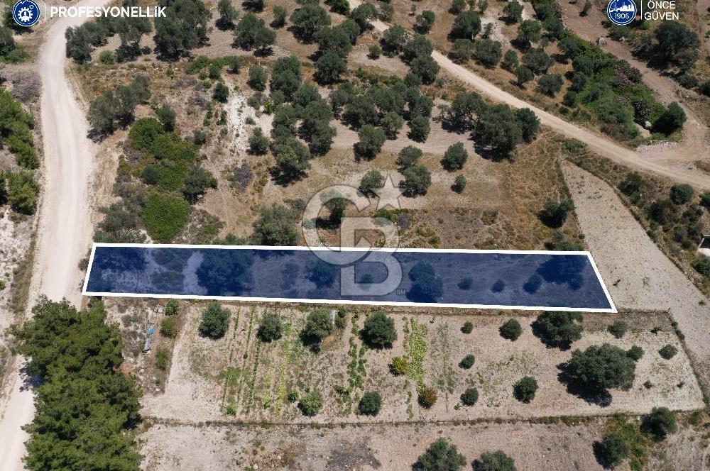 Karaburun Eğlenhoca'da 1.050 m² Yatırımlık Arazi