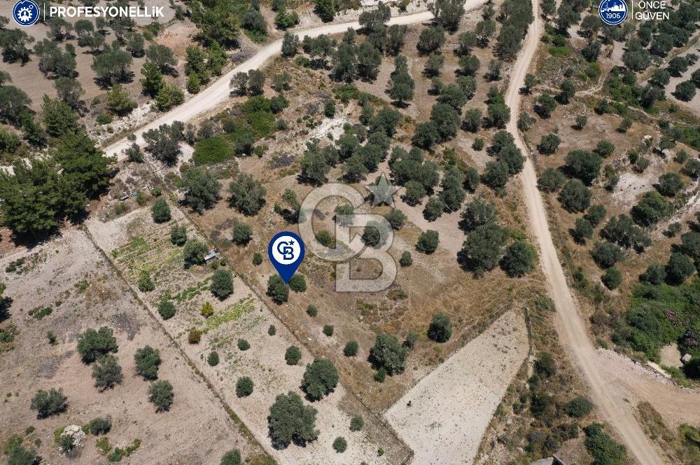Karaburun Eğlenhoca'da 1.050 m² Yatırımlık Arazi