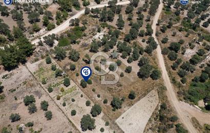 Karaburun Eğlenhoca'da 1.050 m² Yatırımlık Arazi