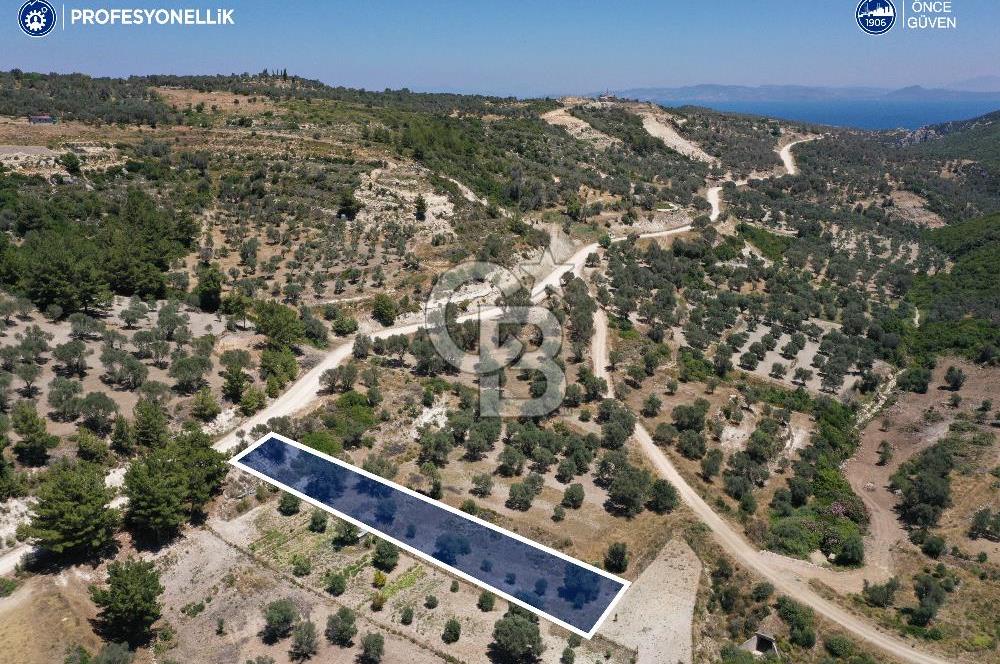 Karaburun Eğlenhoca'da 1.050 m² Yatırımlık Arazi