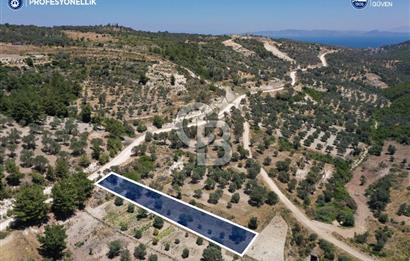 Karaburun Eğlenhoca'da 1.050 m² Yatırımlık Arazi