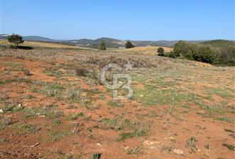 GEBZE CUMAKÖYDE KİRALIK 4077 M² ARSA - 1 - 170491