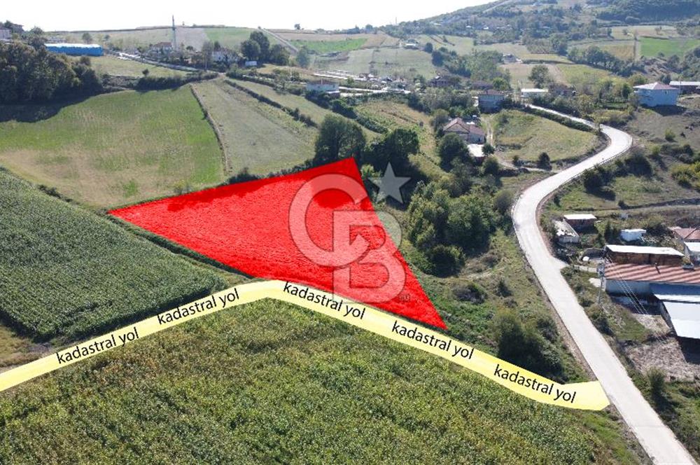 Derince Çavuşlu Çancılar Mevkiinde Satılık 4.045 m² Kupon Parsel