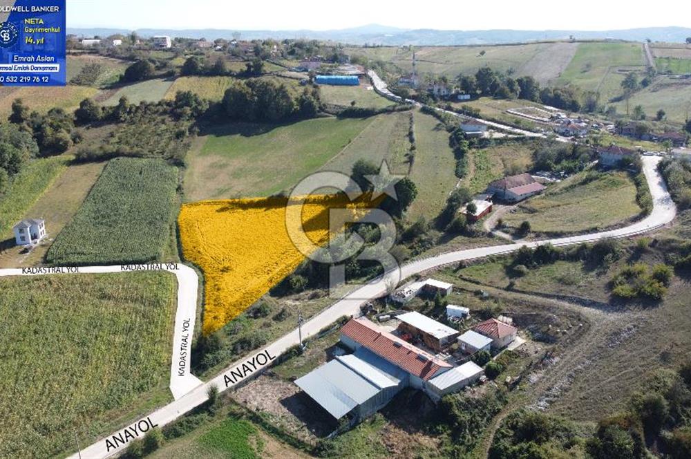 Derince Çavuşlu Çancılar Mevkiinde Satılık 4.045 m² Kupon Parsel