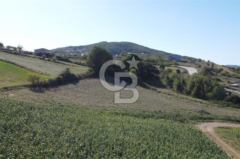 Derince Çavuşlu Çancılar Mevkiinde Satılık 4.045 m² Kupon Parsel