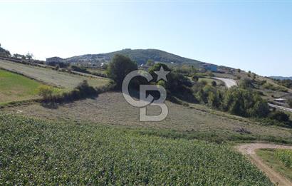 Derince Çavuşlu Çancılar Mevkiinde Satılık 4.045 m² Kupon Parsel