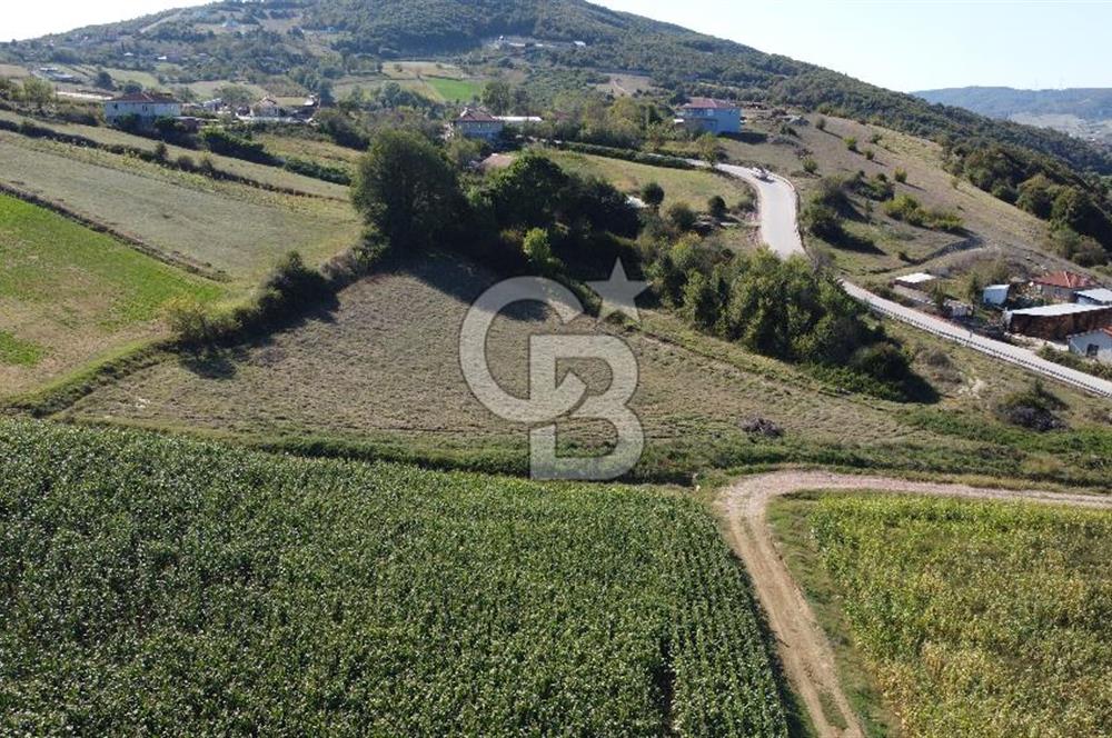 Derince Çavuşlu Çancılar Mevkiinde Satılık 4.045 m² Kupon Parsel