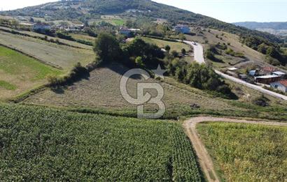 Derince Çavuşlu Çancılar Mevkiinde Satılık 4.045 m² Kupon Parsel