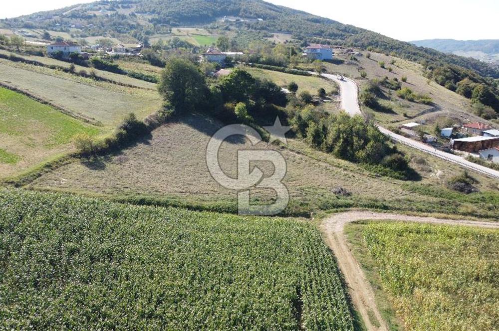 Derince Çavuşlu Çancılar Mevkiinde Satılık 4.045 m² Kupon Parsel