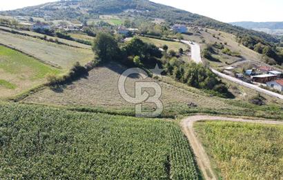 Derince Çavuşlu Çancılar Mevkiinde Satılık 4.045 m² Kupon Parsel