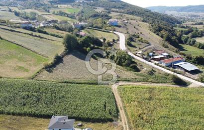 Derince Çavuşlu Çancılar Mevkiinde Satılık 4.045 m² Kupon Parsel