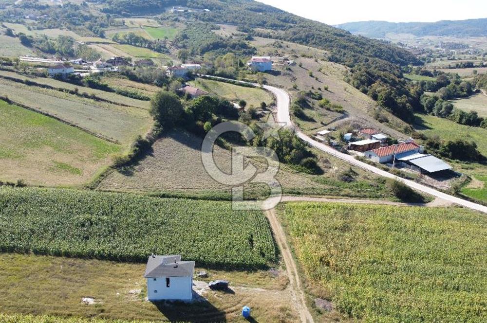 Derince Çavuşlu Çancılar Mevkiinde Satılık 4.045 m² Kupon Parsel