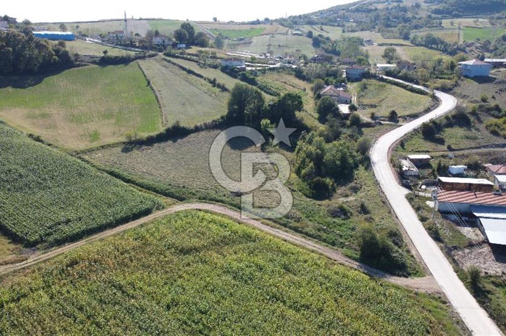 Derince Çavuşlu Çancılar Mevkiinde Satılık 4.045 m² Kupon Parsel