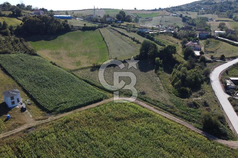 Derince Çavuşlu Çancılar Mevkiinde Satılık 4.045 m² Kupon Parsel