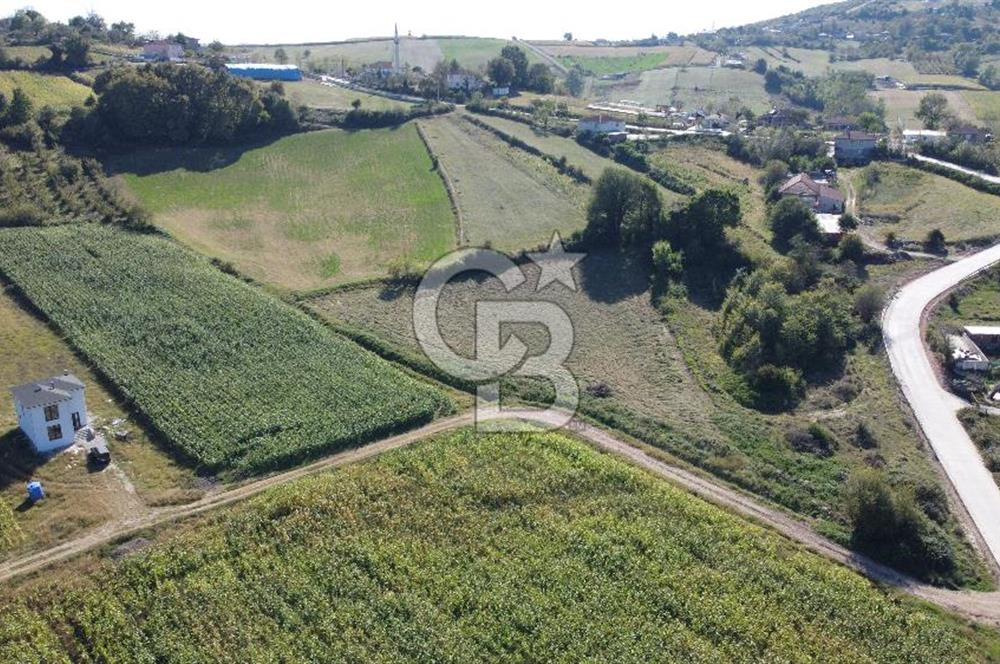 Derince Çavuşlu Çancılar Mevkiinde Satılık 4.045 m² Kupon Parsel