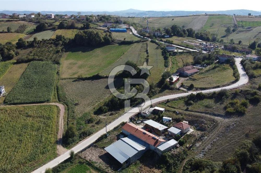 Derince Çavuşlu Çancılar Mevkiinde Satılık 4.045 m² Kupon Parsel