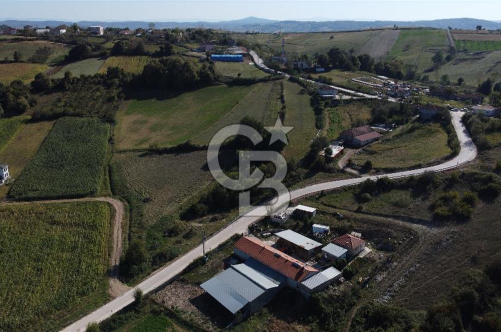 Derince Çavuşlu Çancılar Mevkiinde Satılık 4.045 m² Kupon Parsel