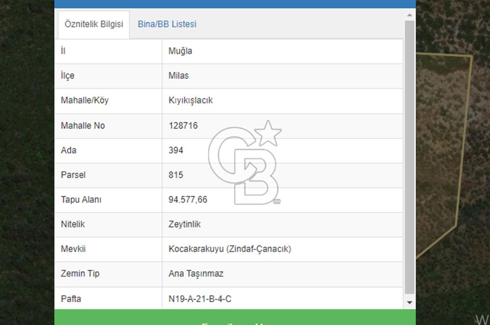 MİLAS KIYIKIŞLACIK'TA SATILIK YATIRIMLIK ZEYTİNLİK