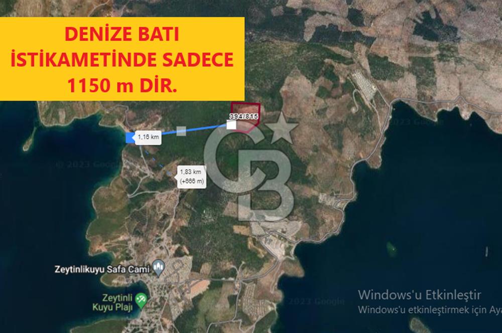 MİLAS KIYIKIŞLACIK'TA SATILIK YATIRIMLIK ZEYTİNLİK