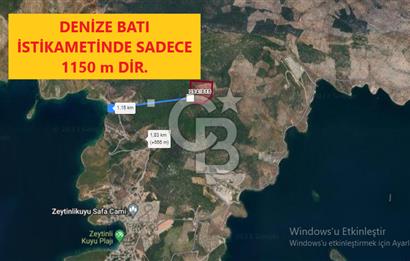 MİLAS KIYIKIŞLACIK'TA SATILIK YATIRIMLIK ZEYTİNLİK