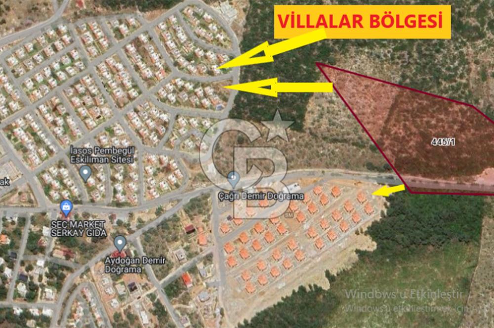 MİLAS KIYIKIŞLACIK'TA 445/1 DE SATILIK MUHTEŞEM ZEYTİNLİK