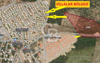 MİLAS KIYIKIŞLACIK'TA 445/1 DE SATILIK MUHTEŞEM ZEYTİNLİK