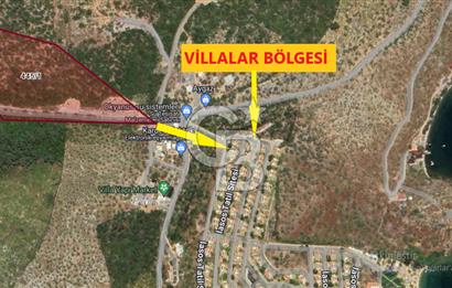 MİLAS KIYIKIŞLACIK'TA 445/1 DE SATILIK MUHTEŞEM ZEYTİNLİK