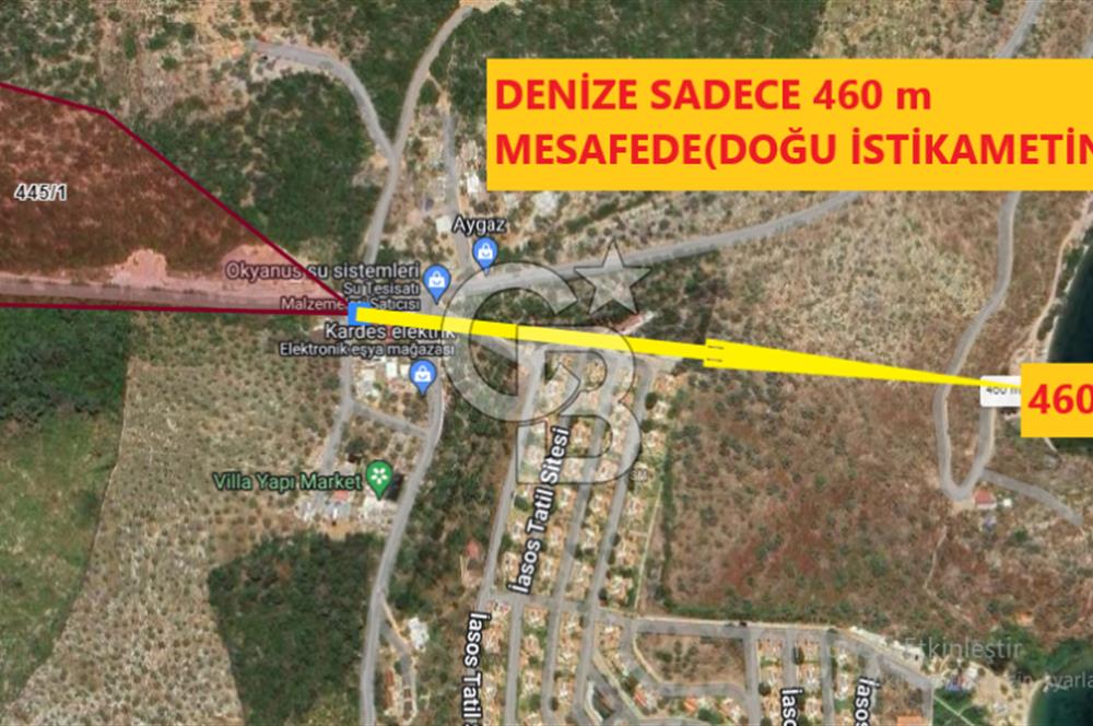 MİLAS KIYIKIŞLACIK'TA 445/1 DE SATILIK MUHTEŞEM ZEYTİNLİK