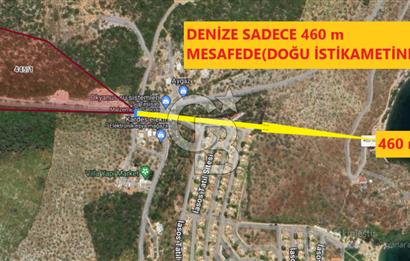 MİLAS KIYIKIŞLACIK'TA 445/1 DE SATILIK MUHTEŞEM ZEYTİNLİK