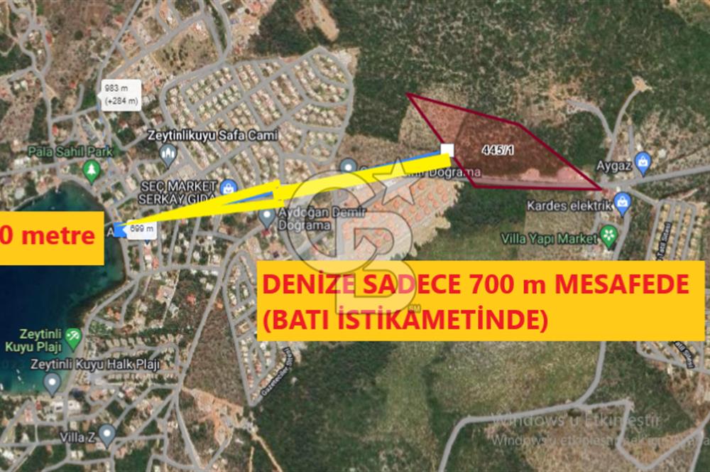 MİLAS KIYIKIŞLACIK'TA 445/1 DE SATILIK MUHTEŞEM ZEYTİNLİK