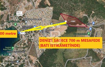 MİLAS KIYIKIŞLACIK'TA 445/1 DE SATILIK MUHTEŞEM ZEYTİNLİK