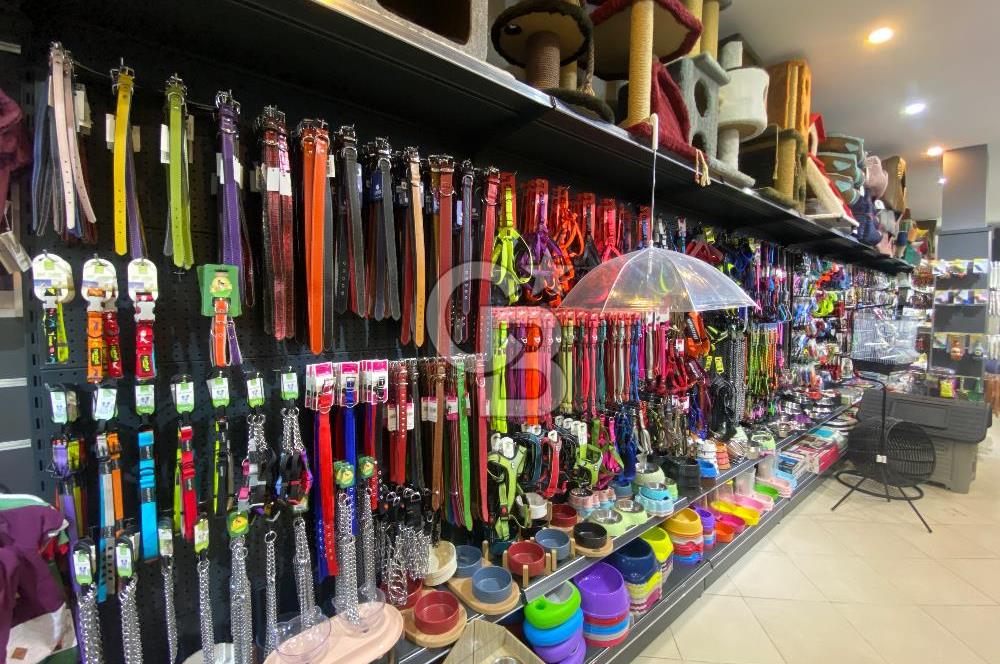 https://www.sahibinden.com/ilan/emlak-is-yeri-devren-kiralik-servergazi-basak-heykeli-ustu-devren-kiralik-pet-shop-1143559574/detay/