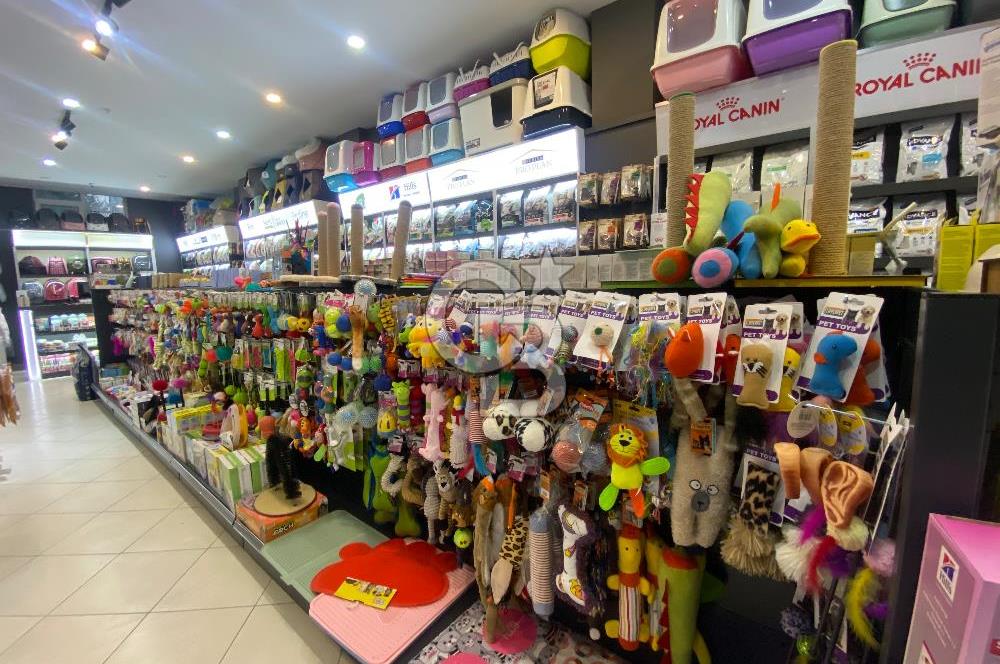 https://www.sahibinden.com/ilan/emlak-is-yeri-devren-kiralik-servergazi-basak-heykeli-ustu-devren-kiralik-pet-shop-1143559574/detay/