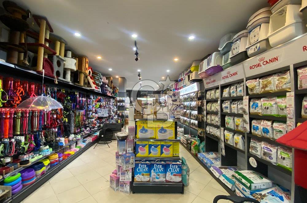 https://www.sahibinden.com/ilan/emlak-is-yeri-devren-kiralik-servergazi-basak-heykeli-ustu-devren-kiralik-pet-shop-1143559574/detay/