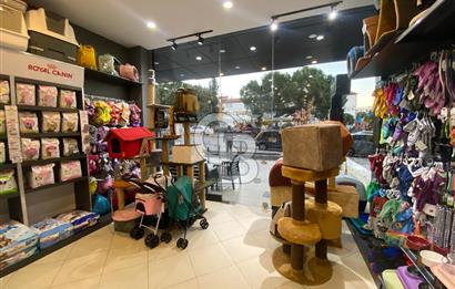 https://www.sahibinden.com/ilan/emlak-is-yeri-devren-kiralik-servergazi-basak-heykeli-ustu-devren-kiralik-pet-shop-1143559574/detay/
