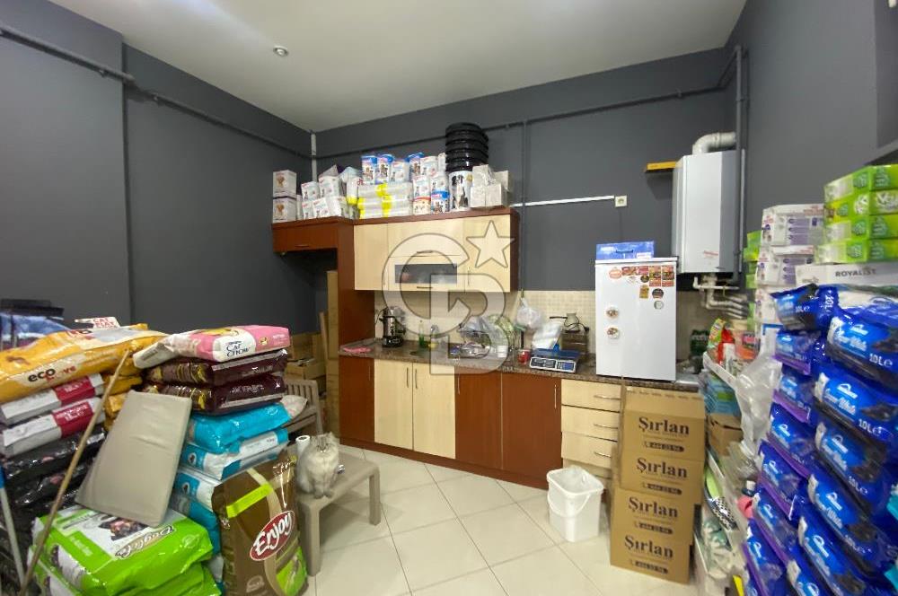 https://www.sahibinden.com/ilan/emlak-is-yeri-devren-kiralik-servergazi-basak-heykeli-ustu-devren-kiralik-pet-shop-1143559574/detay/