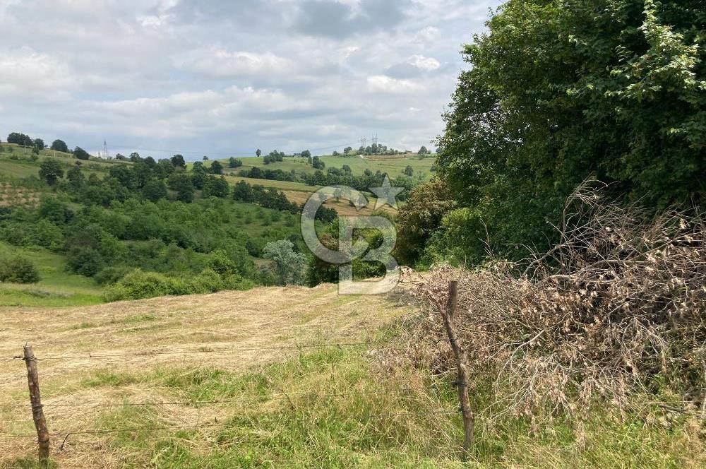 İZMİT GÖKÇEVİRAN YOL KENARI DOĞALGAZ ELEKTRİK OLAN SATILIK TARLA