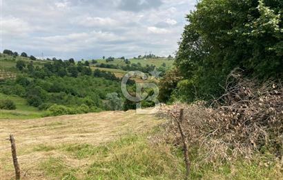 İZMİT GÖKÇEVİRAN YOL KENARI DOĞALGAZ ELEKTRİK OLAN SATILIK TARLA